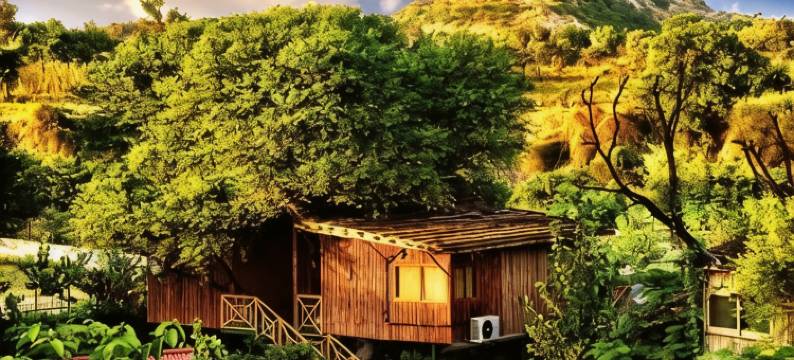 树屋度假村(The Tree House Resort)图片