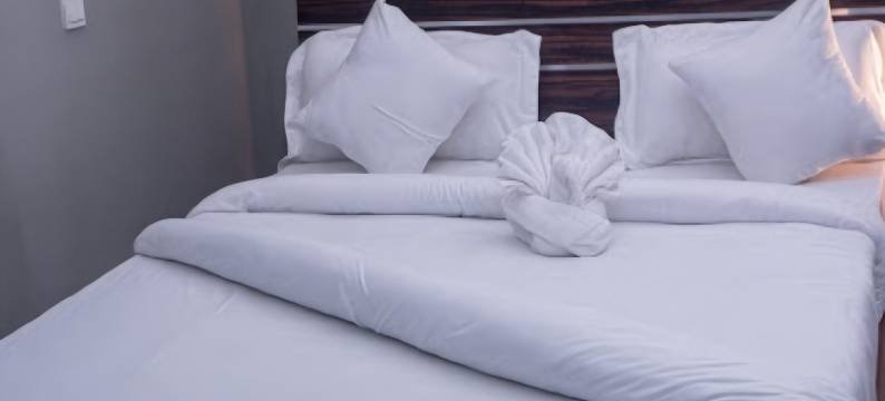 Oragon Hotel -Standard图片