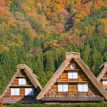 日本名古屋+松本市+白骨温泉+飞弹高地+白川乡+下吕温泉8日7晚私家团