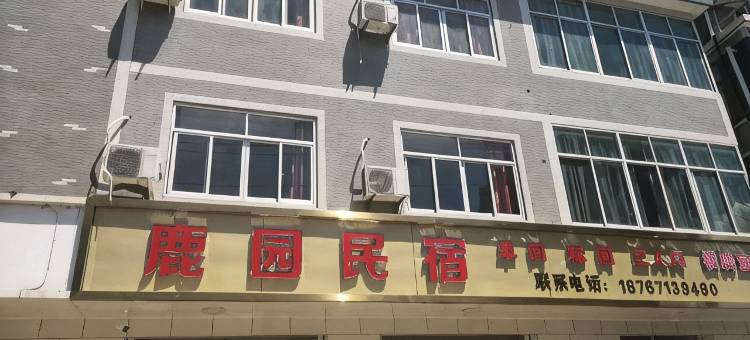 杭州鹿园民宿图片