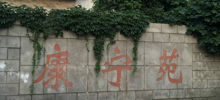 阿拉丁的旅途青年旅舍图片