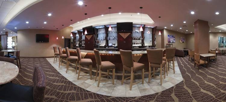 Crowne Plaza 休斯顿橡树河(Crowne Plaza HOUSTON MED CTR-GALLERIA AREA by IHG)图片