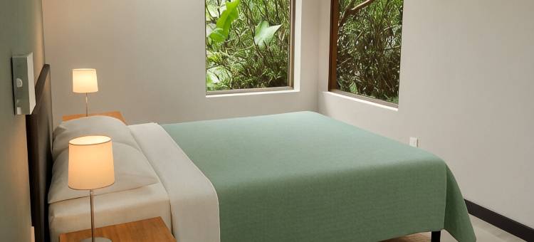 绿色丛林屋(Hotel Boutique the Green Jungle House)图片