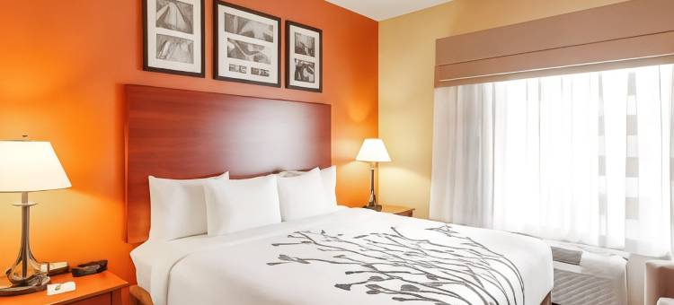 安眠套房酒店-南泰勒(Sleep Inn & Suites Tyler South)图片