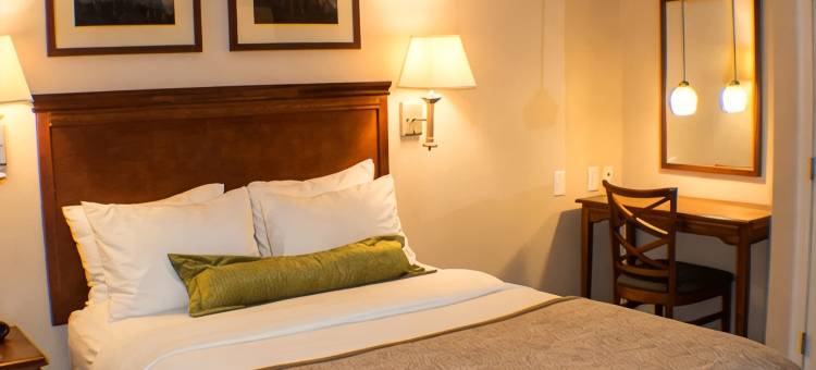 Candlewood Suites 杰克森维尔(Candlewood Suites JACKSONVILLE by IHG)图片