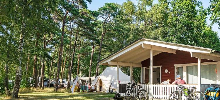 图勒科夫第一营酒店(First Camp Torekov-Båstad)图片