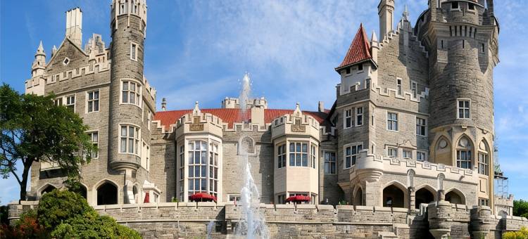 密西沙加机场企业中心西区居家旅馆(Residence Inn Mississauga-Airport Corporate Centre West)图片