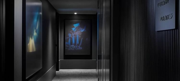 墨尔本莎多普雷派珀斯酒店(Shadow Play Melbourne by Peppers)图片