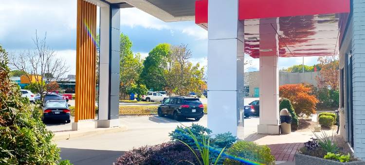 凯洛拉舒适酒店(Comfort Inn)图片