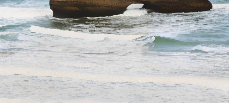 索菲特比亚里茨米拉马尔海洋疗养酒店(Sofitel Biarritz le Miramar Thalassa Sea & Spa)图片