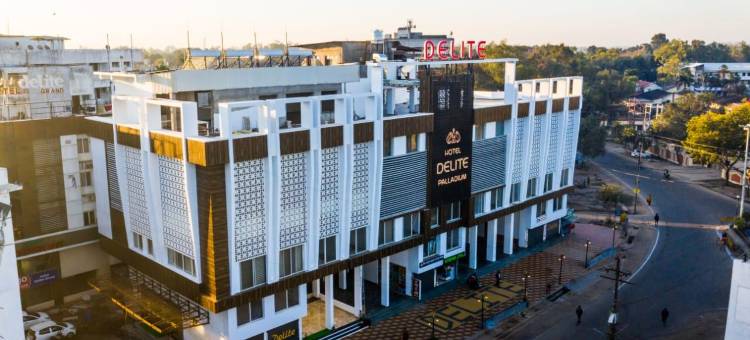 精致钯金酒店(Hotel Delite Palladium)图片