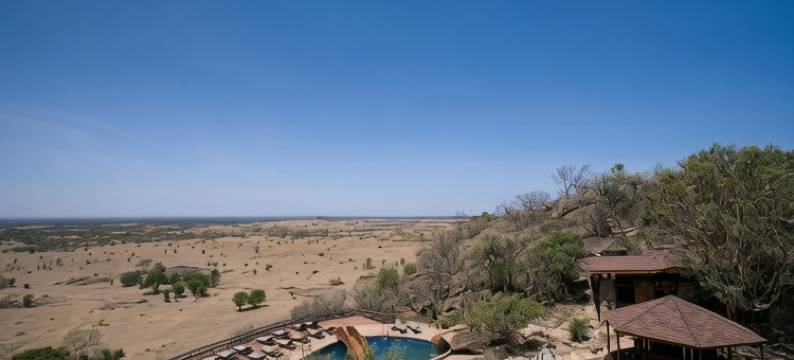 狼之野生动物小屋(Lobo Wildlife Lodge)图片