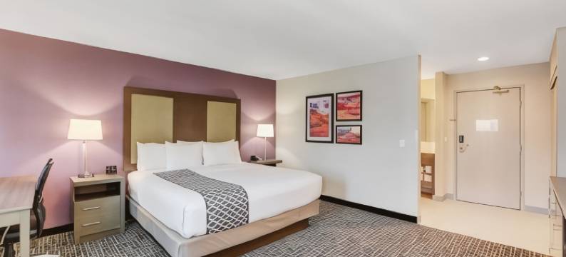 拉斯维加斯内利斯拉昆塔温德姆酒店(La Quinta Inn & Suites by Wyndham Las Vegas Nellis)图片