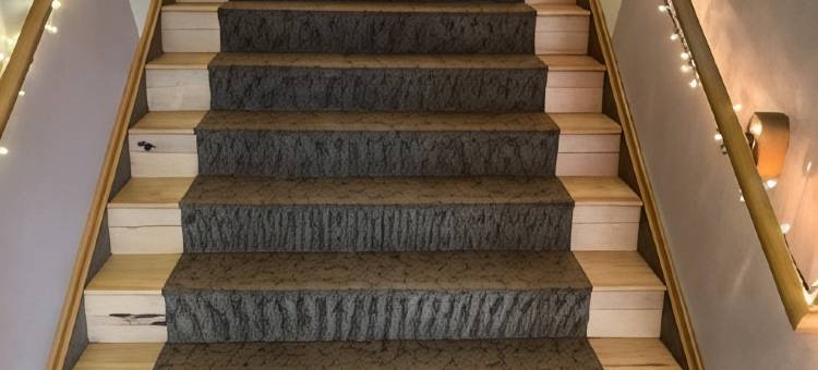 威利斯顿的公平桥旅馆和套房(FairBridge Inn & Suites Williston)图片