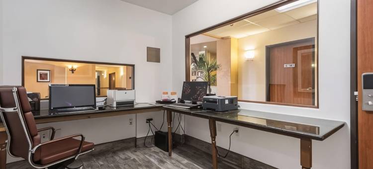 舒适套房(Comfort Inn & Suites)图片