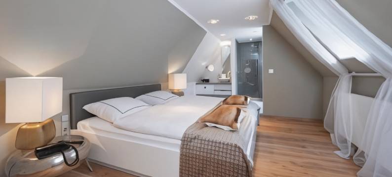 托绅克酒店(Hotel Domschenke)图片