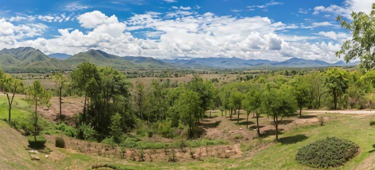 拜县芳香水疗酒店(Aroma Pai Hotel and Spa)图片