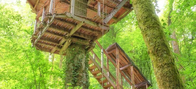 阿尔布雷卡巴内酒店(L'Arbre à Cabane)图片