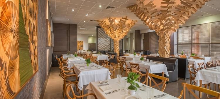 格兰奥达拉酒店(Hotel Gran Odara)图片