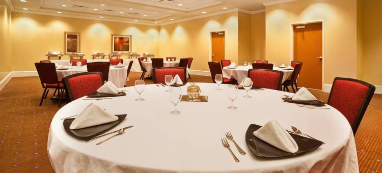 Holiday Inn 奥罗拉北，内珀维尔(Holiday Inn Aurora North- Naperville)图片
