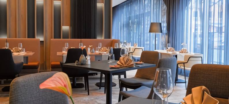 汉诺威希尔顿逸林酒店瑞士宫(DoubleTree by Hilton Hannover Schweizerhof)图片