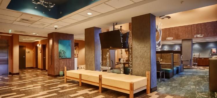 湖郡贝斯特韦斯特优质套房酒店(Best Western Plus Chain of Lakes Inn  Suites)图片