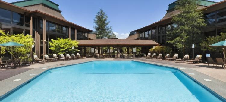 西雅图机场希尔顿逸林酒店(DoubleTree by Hilton Seattle Airport)图片
