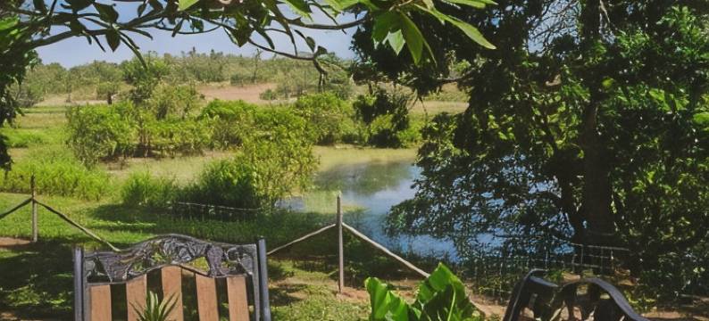 邦迪山站小屋(Mt Bundy Station)图片