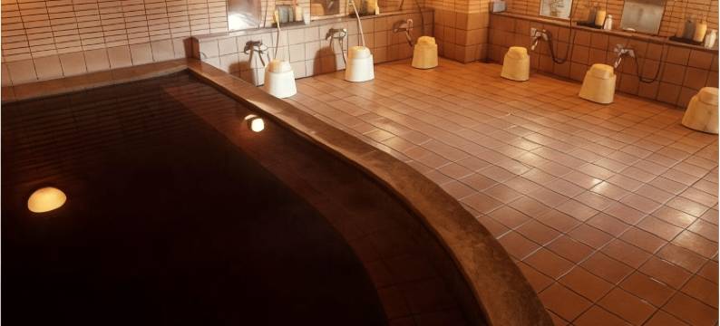 十胜花园酒店(Tokachi Gardens Hotel)图片