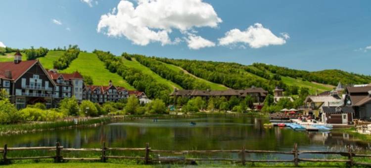 科林伍德烛木套房酒店(Candlewood Suites Collingwood)图片