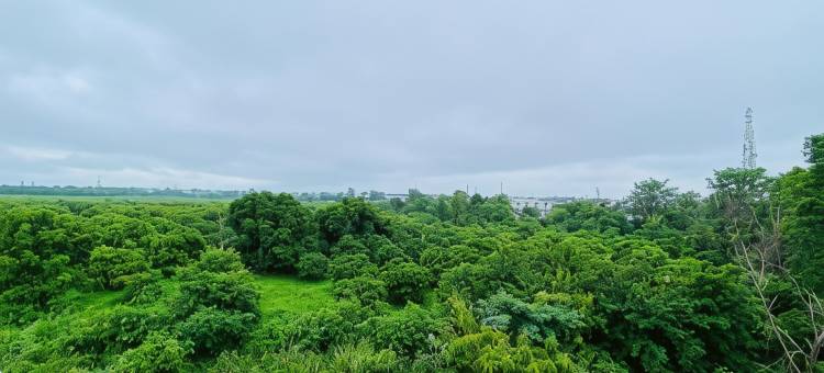 LivBox 鲁德拉普尔(LivBox)图片