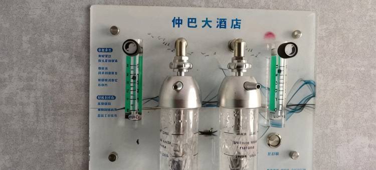仲巴大酒店图片