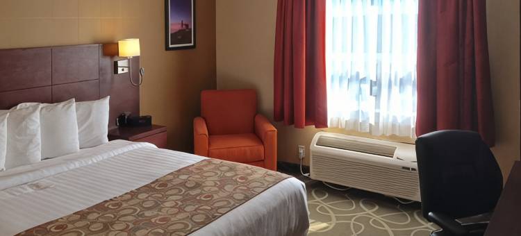 凯艺套房酒店(Quality Hotel & Suites)图片
