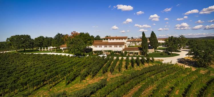梅尼赫蒂红酒酒店及酒庄(Meneghetti Wine Hotel and Winery - Relais & Chateaux)图片