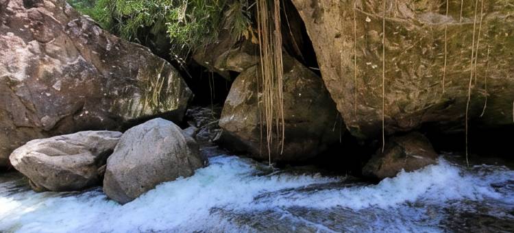 Ypês露营旅馆(Pousada Camping Dos Ypês)图片