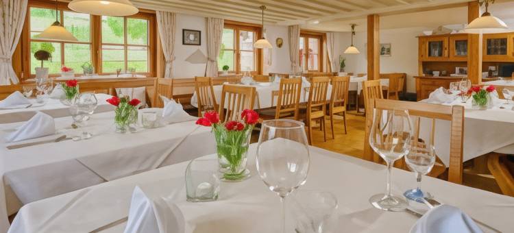 斯塔尼斯特假日酒店(Ferienhotel Starennest)图片