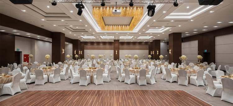 安卡拉安卡拉珀恩特酒店(Radisson Blu Hotel Ankara Cankaya)图片
