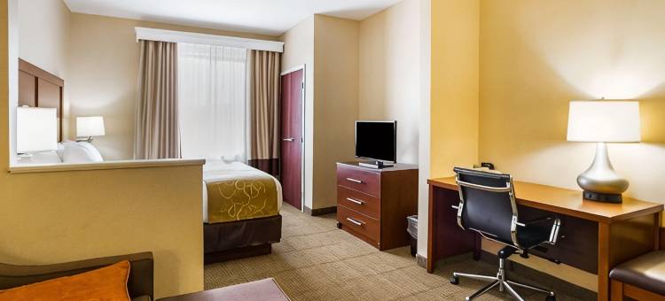 特温斯堡舒适套房酒店(Comfort Suites)图片