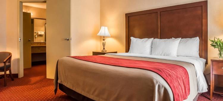 波科诺湖地区舒适酒店(Comfort Inn Pocono Lakes Region)图片