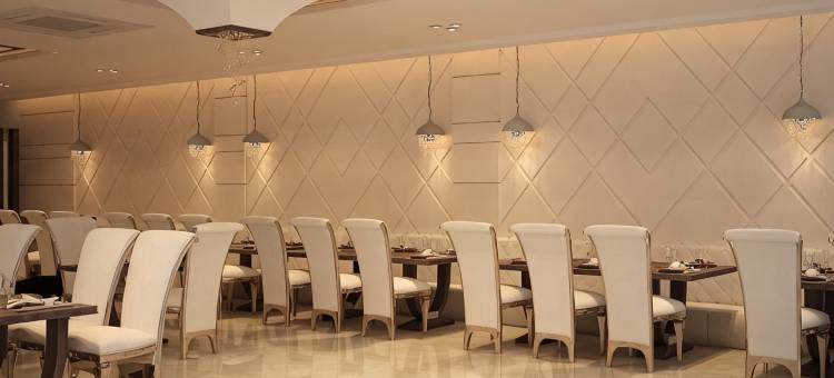 棕榈华丽酒店(Hotel Palm Luxury Inn)图片
