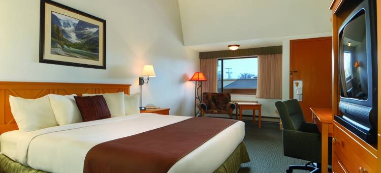 谢里登中心贝斯特韦斯特酒店(Best Western Sheridan Center)图片