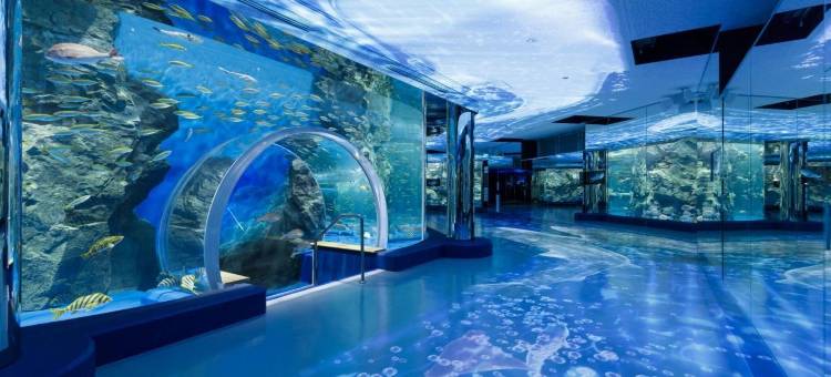 金泽西口站前微笑酒店(Smile Hotel Kanazawa Nishiguchi Ekimae)图片