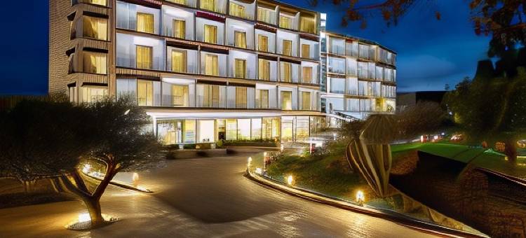 希西亚皇家酒店(Vasia Royal Hotel)图片