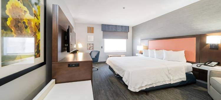 希尔顿欢朋套房酒店-莫德斯托萨利达(Hampton Inn & Suites Modesto-Salida)图片