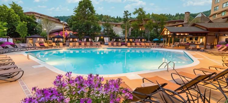 切罗基汉拉度假村 - 凯撒奖励目的地(Harrah's Cherokee  – A Caesars Rewards Destination)图片