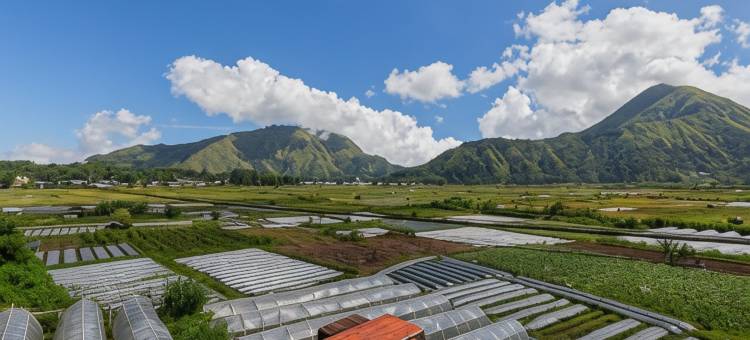 Teras稻田宾馆Syariah(Teras Sawah Guest House Syariah)图片