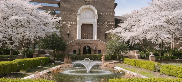 Sonder the Sloan图片