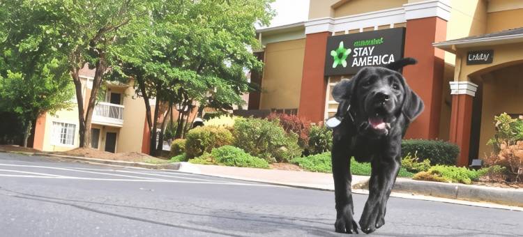 芝加哥罗灵梅多斯美国长住精选套房酒店(Extended Stay America Select Suites - Chicago - Rolling Meadows)图片