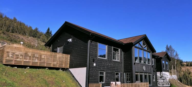 廷布连拉娟酒店(Timblalodgen - Mountain Lodge Near Sognefjord & Flåm)图片