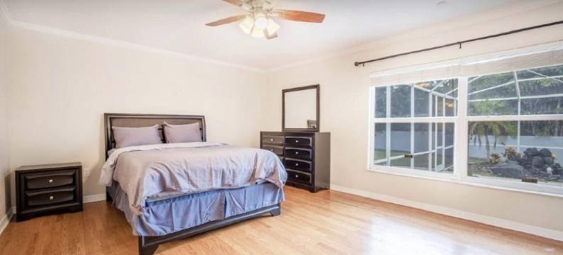 South Tampa Getaway图片